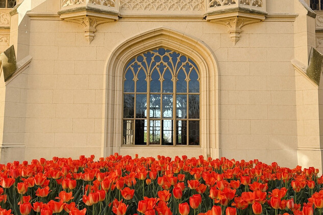 pohled na zámek Lednice s rozkvetlými tulipány